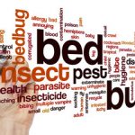 Cimici da letto Roma nord